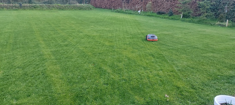 Afbeeldingslocatie: https://tweakers.net/i/OK10FzxOcAieQOAqvxa3lw1wyx8=/800x/filters:strip_icc():strip_exif()/f/image/uVUrRlIj04HVoR7NXmOL2rs5.jpg?f=fotoalbum_large