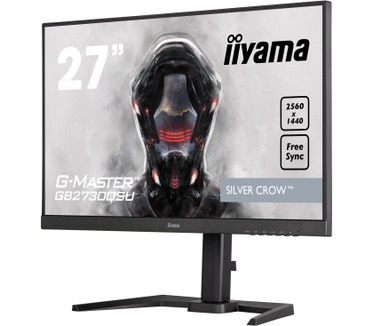 Iiyama G-Master G-MASTER Zwart