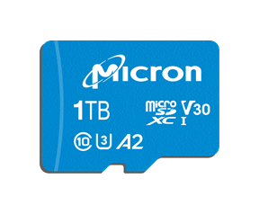 1 TB Micron en WD