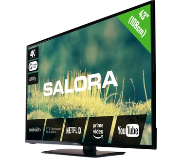 Salora 43EA2204 Zwart