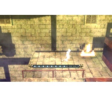 A Shadow's Tale