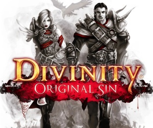 Divinity Original Sin Enhanced Edition PS4 Kenmerken Tweakers