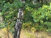 https://tweakers.net/i/OP7qpclPPs0hujjOHD9Alkm-oUI=/100x75/filters:strip_icc():strip_exif()/f/image/zf1Ggc8Ot6cO5OGVJiWH3ldL.jpg?f=fotoalbum_small