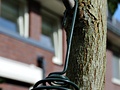 Nikon 1 J2 fotosamples