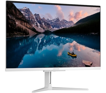 Medion Akoya E27401 All-in One PC (MD61981)
