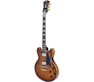D'Angelico Guitars Premier Mini DC