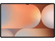 Samsung Galaxy Tab S10 Ultra, Wi-Fi, 256GB opslag Platinum