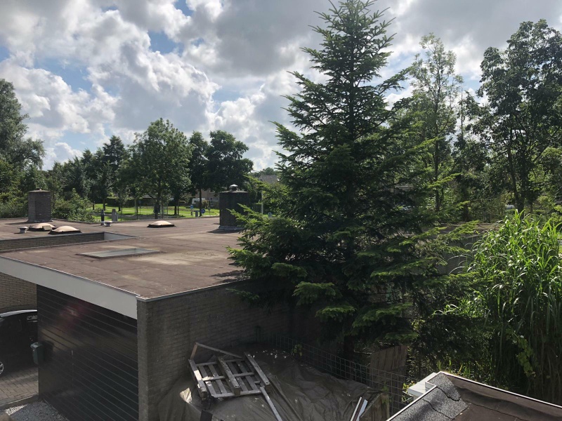 Afbeeldingslocatie: https://tweakers.net/i/OX4OknSFtJQvu0lNeNEqDA7rNqM=/800x/filters:strip_icc():strip_exif()/f/image/G1TEuL2UopB24hUrliUPjDRU.jpg?f=fotoalbum_large