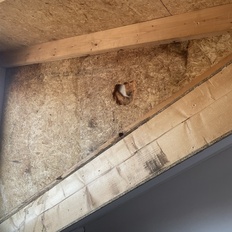 Afbeeldingslocatie: https://tweakers.net/i/OXNX-u94O57W9xoyLA13c9xkvuM=/232x232/filters:strip_icc():strip_exif()/f/image/lS5yHsqDidS5dFKfEqIPbe5k.jpg?f=fotoalbum_tile