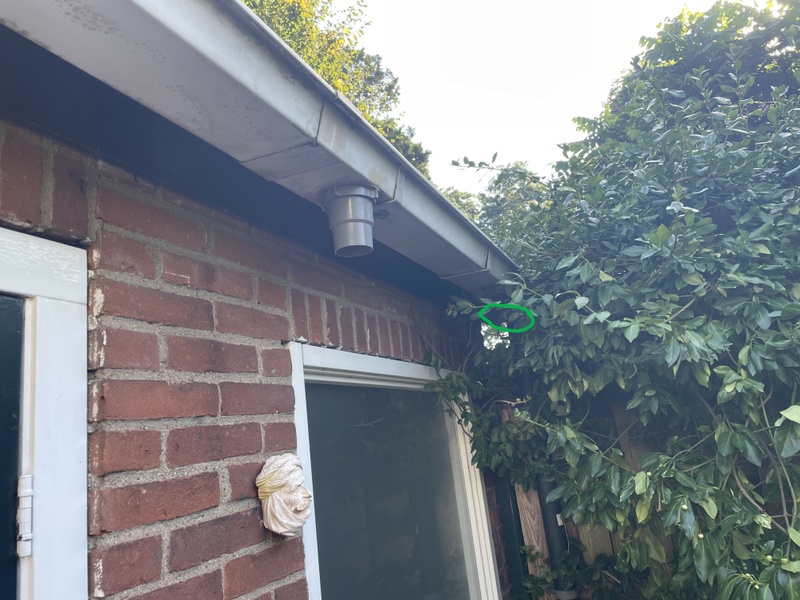 Afbeeldingslocatie: https://tweakers.net/i/OXh8w_eayLAuDEHZlYZu1NUK16I=/800x/filters:strip_icc():strip_exif()/f/image/sa0BcmxNQKFR89Qw2Q8kYXXM.jpg?f=fotoalbum_large