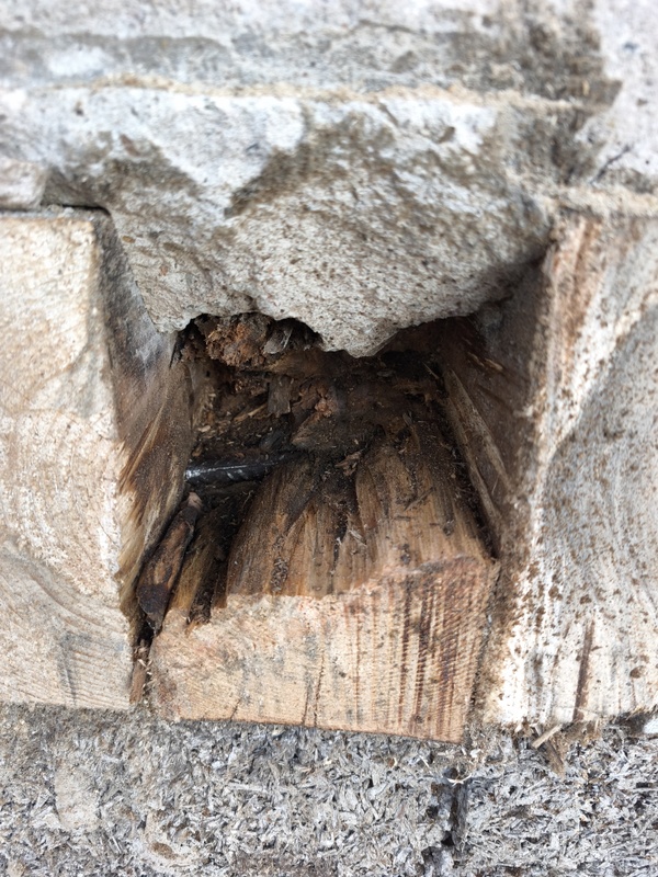 Afbeeldingslocatie: https://tweakers.net/i/OYFJcJPLBYo59tAt1uzsTQMEDRo=/x800/filters:strip_icc():strip_exif()/f/image/GmRvxCk99ETszKupfI0RzgYm.jpg?f=fotoalbum_large