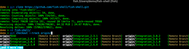 fish-shell