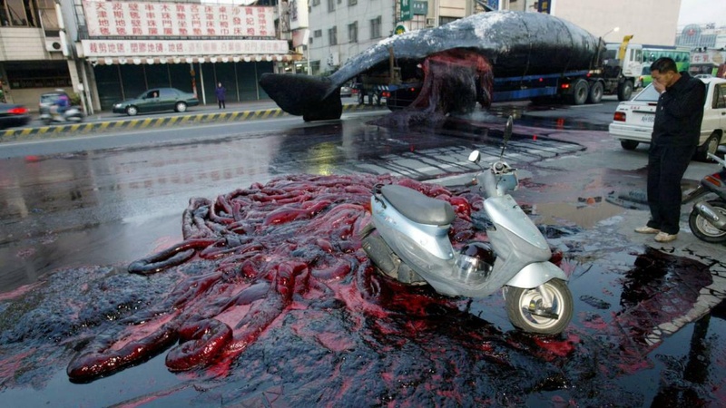 Afbeeldingslocatie: https://tweakers.net/i/OaCzFXivzRunlx6maaE_HZHgSzs=/800x/filters:strip_icc():strip_exif()/f/image/tePEAgXxlvu3ZKfoyjCGO2tI.jpg?f=fotoalbum_large