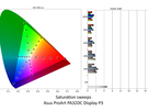 Asus ProArt PA32DC ongekalibreerd - Display P3-weergave ( ΔE 2000)