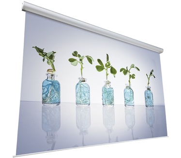 Projecta Master Electrol 300x400 Matte White P