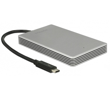 Delock Thunderbolt 3 External Portable 240GB Aluminium