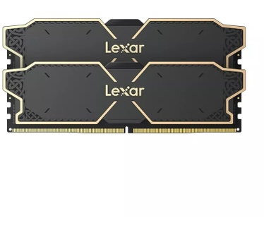 Lexar LD5U08G60C38LG-RGD
