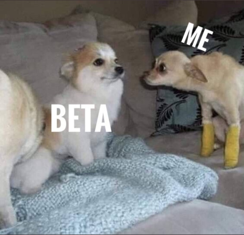 Afbeeldingslocatie: https://tweakers.net/i/OjOOGqb-vtuhVco1dWdI3IOEaO8=/800x/filters:strip_icc():strip_exif()/f/image/sgnEXAh5CfSherX7GYmkoyhM.jpg?f=fotoalbum_large