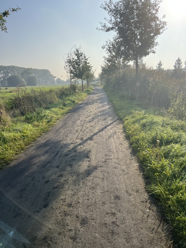 Afbeeldingslocatie: https://tweakers.net/i/OlArG3NQhW7z0a0pKmwCONasWdg=/x800/filters:strip_icc():strip_exif()/f/image/ukjaqOW9io9JUfX2HPDFttVA.jpg?f=fotoalbum_large