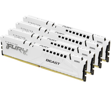 Kingston Beast White XMP