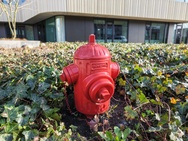 Cameratest Xiaomi 17 Ultra - Primair overdag