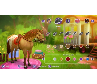 Horse Club Adventures