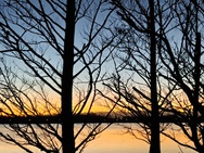 OnePlus 15 cameratest - 2x zoom