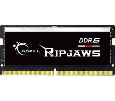 G.Skill Ripjaws F5-4800S4039A16GX1-RS