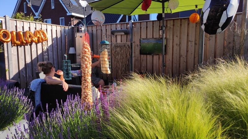 Afbeeldingslocatie: https://tweakers.net/i/OwCSylK_T4hT_mlgO_NFgFFqdXk=/800x/filters:strip_icc():strip_exif()/f/image/N3kMh5ByBPseuGWSlOx76X4L.jpg?f=fotoalbum_large