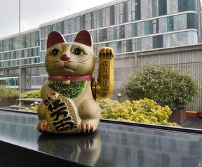 Cameratest Samsung Tab A11 en A11+ - Primair