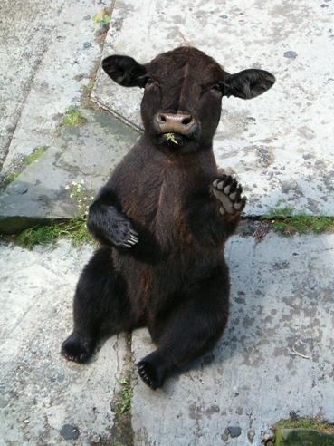 Afbeeldingslocatie: https://tweakers.net/i/Owc-S5sYzWmXT_NBNGLIRzcvsMY=/full-fit-in/4920x3264/filters:max_bytes(3145728):no_upscale():strip_icc():fill(white):strip_exif()/f/image/OHeLBbh7kNxqJ7WEJc63oZbD.jpg?f=user_large