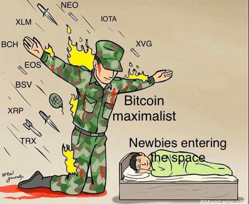 Afbeeldingslocatie: https://tweakers.net/i/Ox5VJvXuS_j-RKy13IcOCg4ffKs=/800x/filters:strip_exif()/f/image/HOjxZRghxdtJ32Yte14tcFWO.png?f=fotoalbum_large
