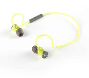 NGS Artica Swing