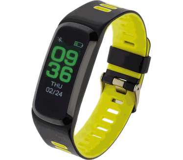 Garett Electronics Fit 15