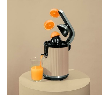 Cecotec Xqueeze RetroJuice 600