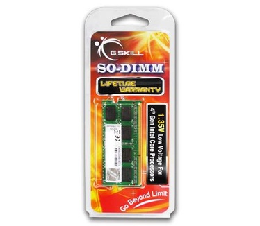G.Skill 8GB DDR3-1333