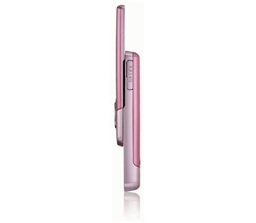 Samsung S3100  Roze