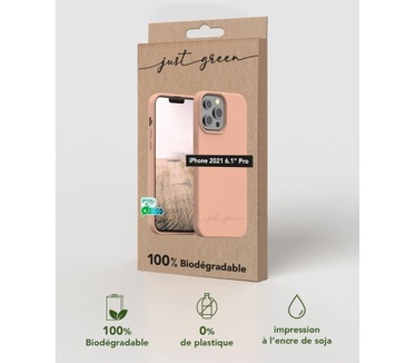 Big Ben JGCOVIP1361PS