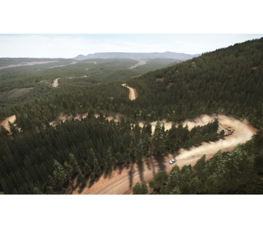 DiRT Rally, Windows