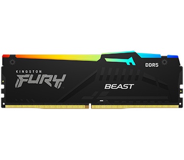 Kingston Beast RGB
