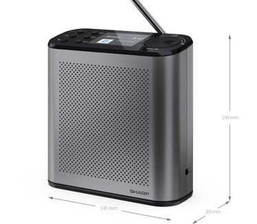 Sharp Digitalradio DR-P530 GR