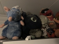 iPhone XS en XS Max fotosamples slechte lichtomstandigheden