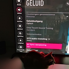 Afbeeldingslocatie: https://tweakers.net/i/PBO_8gNTFGY78jErXc9BRqfz8TI=/232x232/filters:strip_icc():strip_exif()/f/image/QJ7we8wT2QnvCxceV2q9lUJ4.jpg?f=fotoalbum_tile