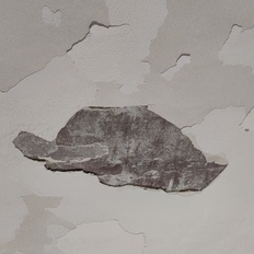 Afbeeldingslocatie: https://tweakers.net/i/PBlDxBlELftNwr2cczT3yq9vijs=/232x232/filters:strip_icc():strip_exif()/f/image/FYUcMSKX3ABho6QLMPRPert4.jpg?f=fotoalbum_tile