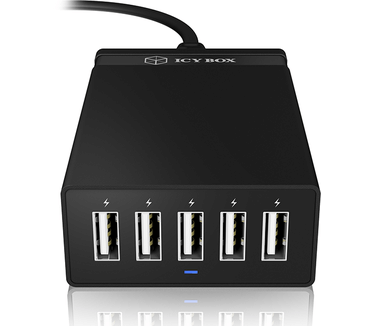 Raidsonic ICY BOX IB-CH501