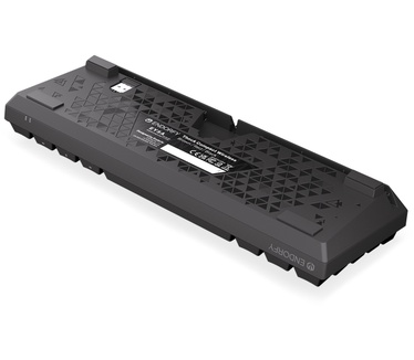 ENDORFY Thock Compact