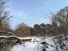 Fotosamples Huawei P8 Lite (2017)