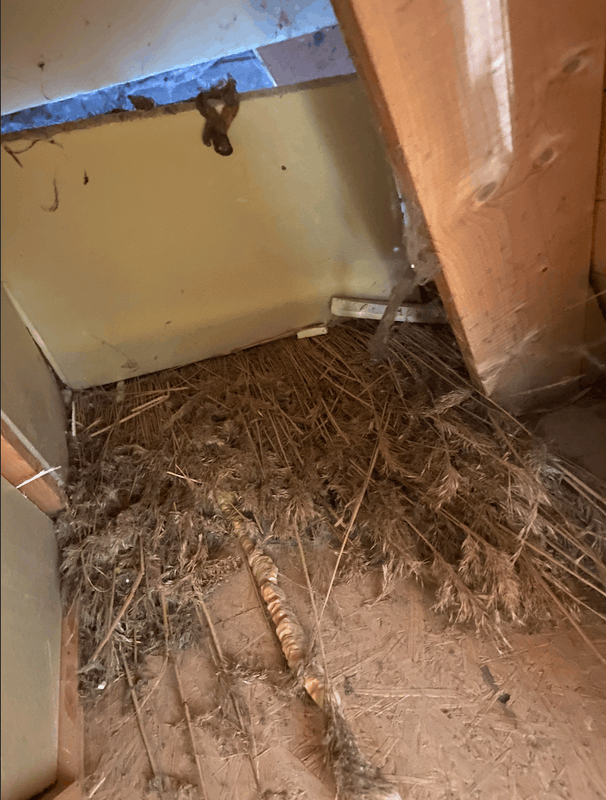 Afbeeldingslocatie: https://tweakers.net/i/PGrw5Thyms_CsbzSJnpebVak52I=/x800/filters:strip_exif()/f/image/jx1wPJSUcae0Xes19klB67lj.png?f=fotoalbum_large