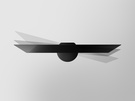 Panasonic HZW1004