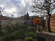 Phone 4a Pro cameratest - Ultragroothoek